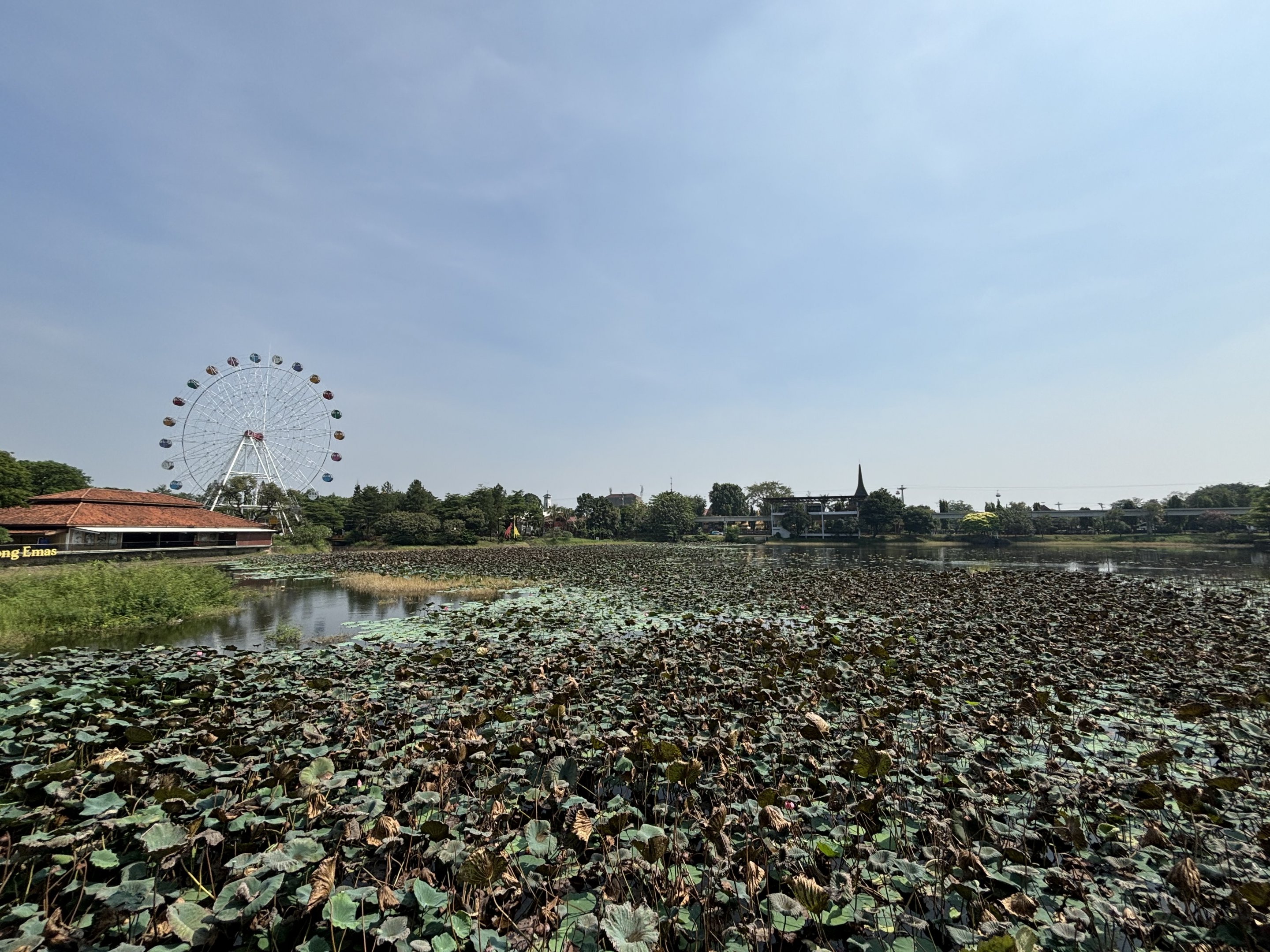 Aquarium Wetlands + Ferris Wheel