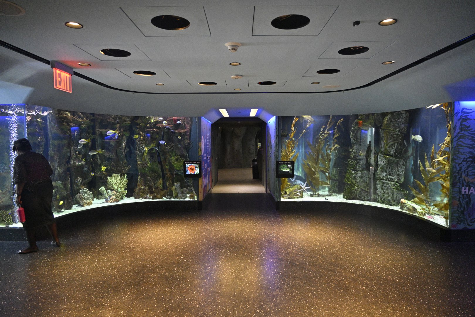 Aquarium Wing - Indo-Pacific Coral Reef and Pacific Kelp Forest Tanks