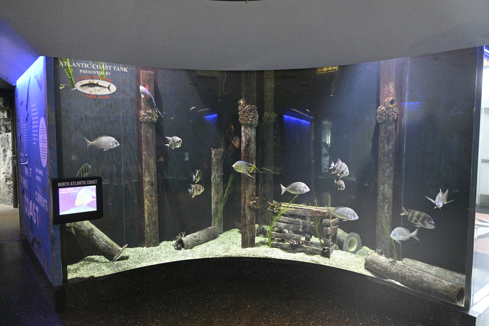 Aquarium Wing - North Atlantic Coast Tank