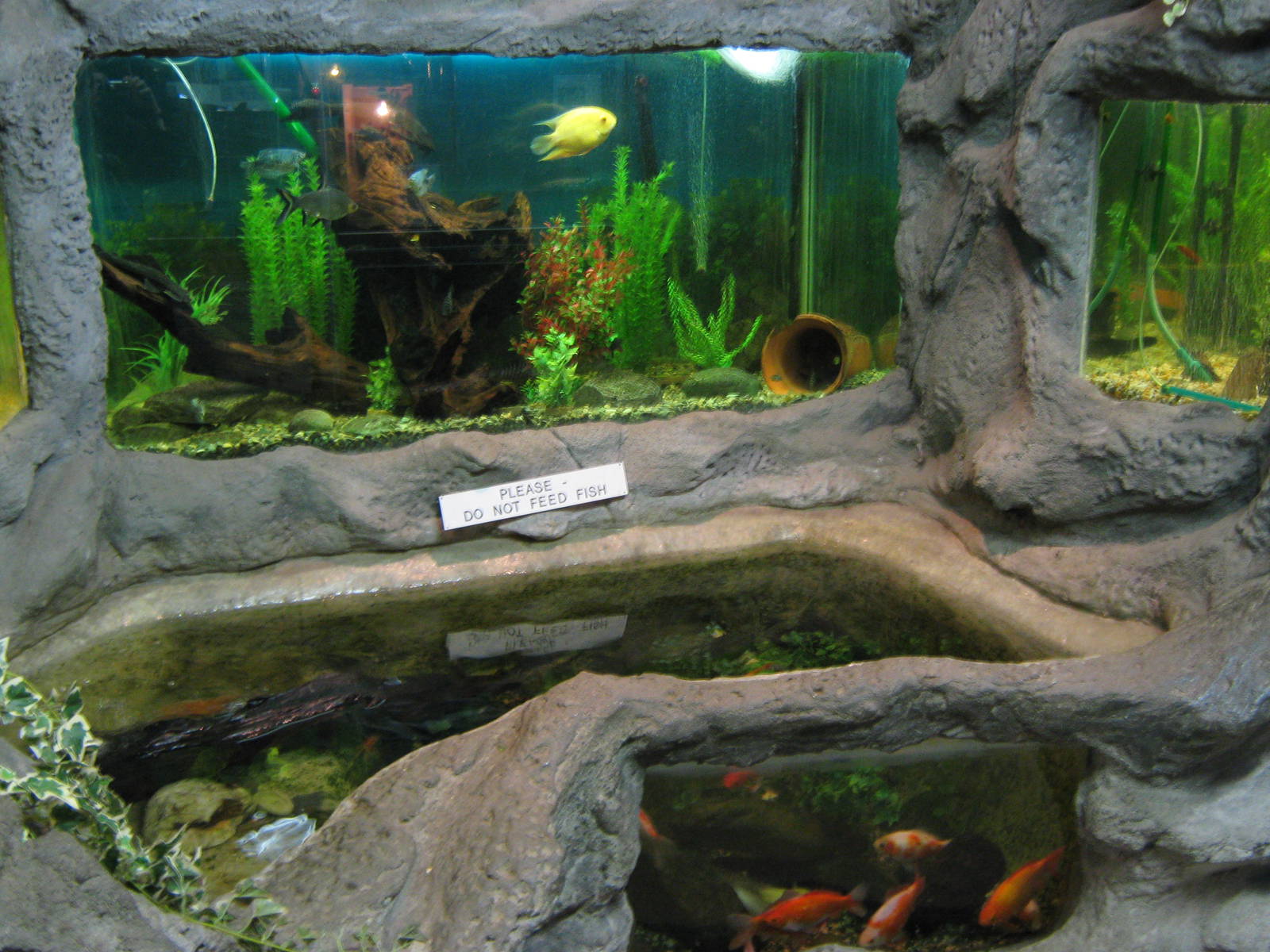 Aquarium