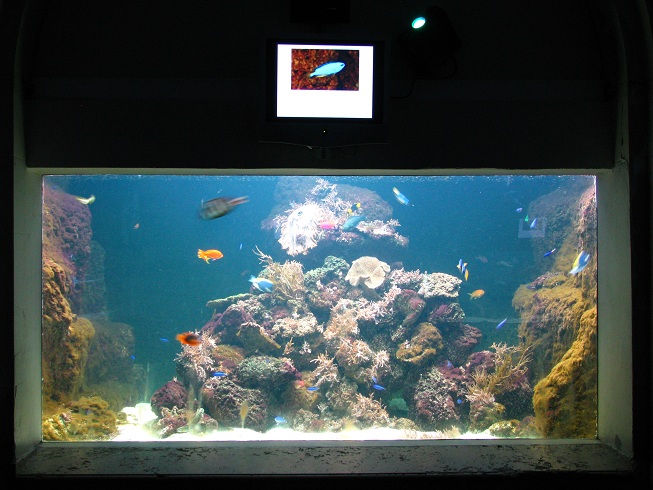 Aquarium