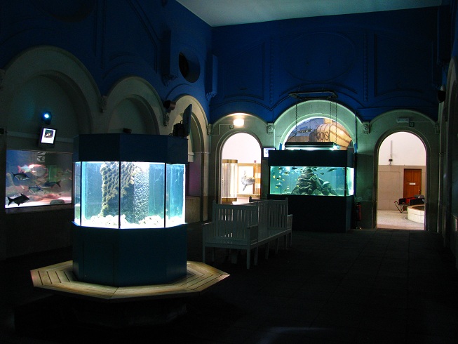 Aquarium
