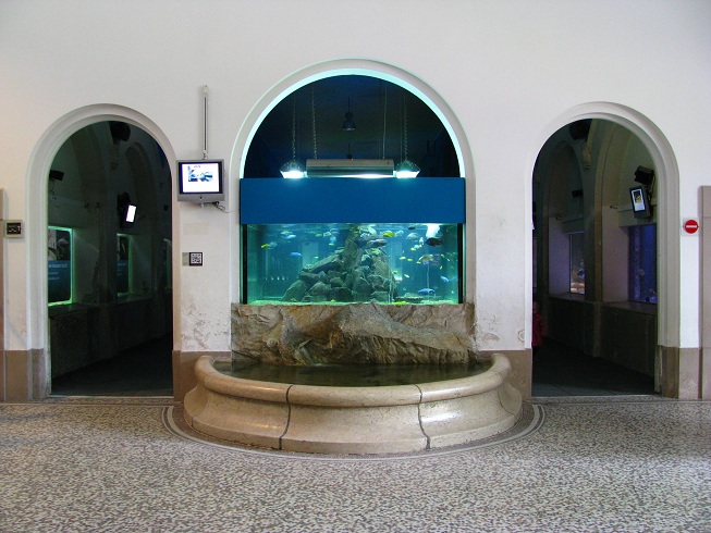 Aquarium