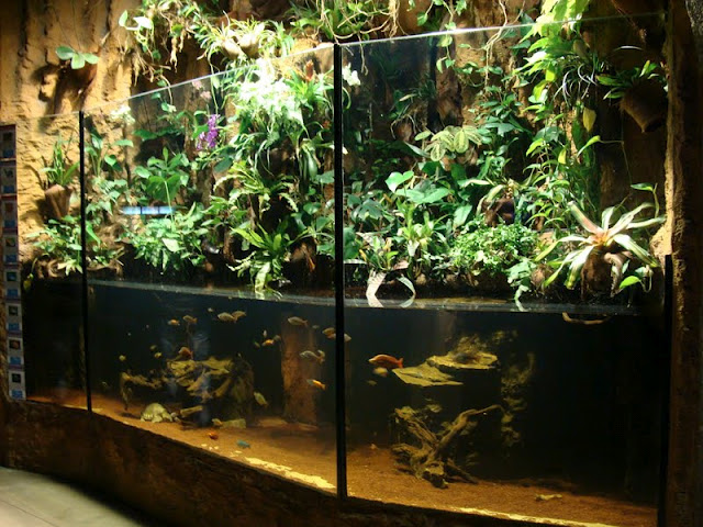 Aquarium
