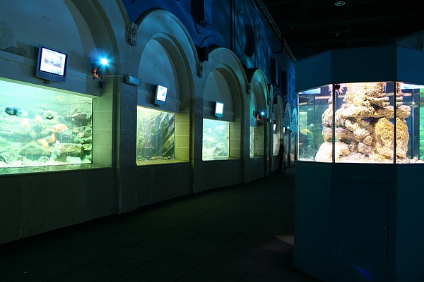 Aquarium