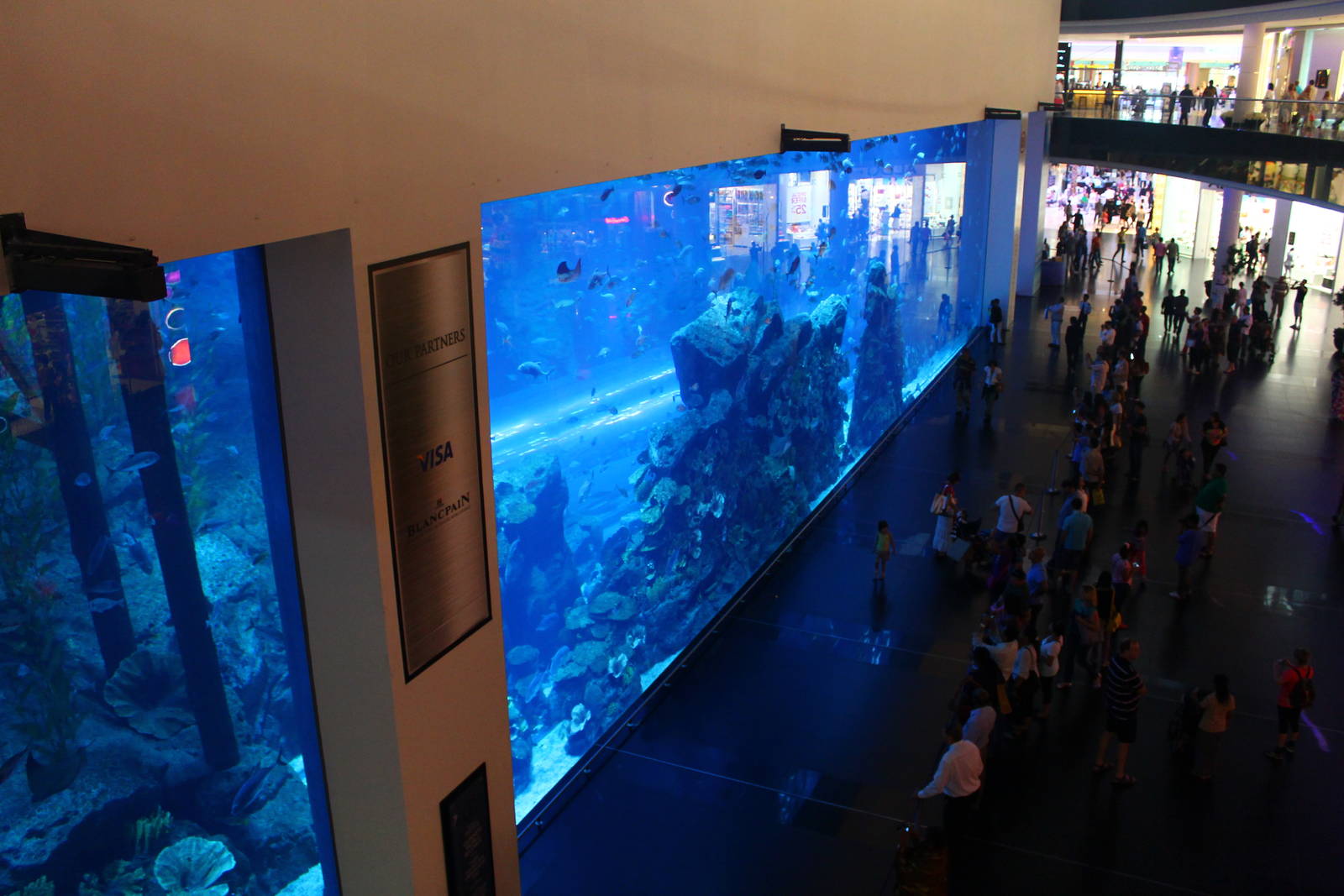 Aquarium