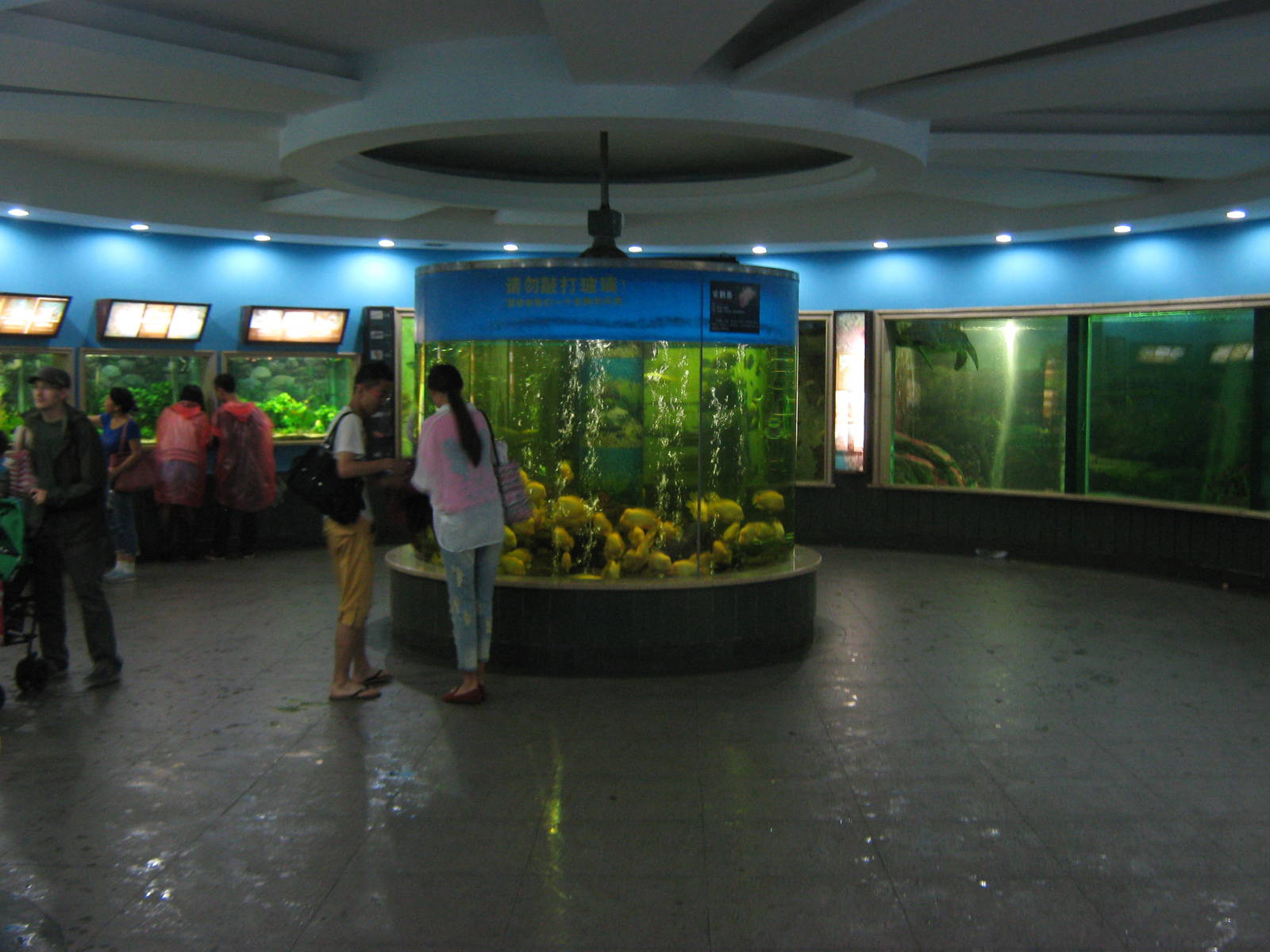 Aquarium