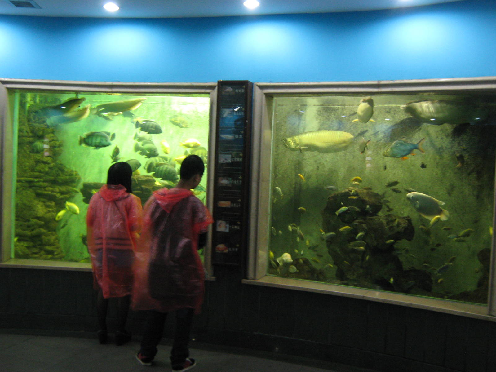 Aquarium