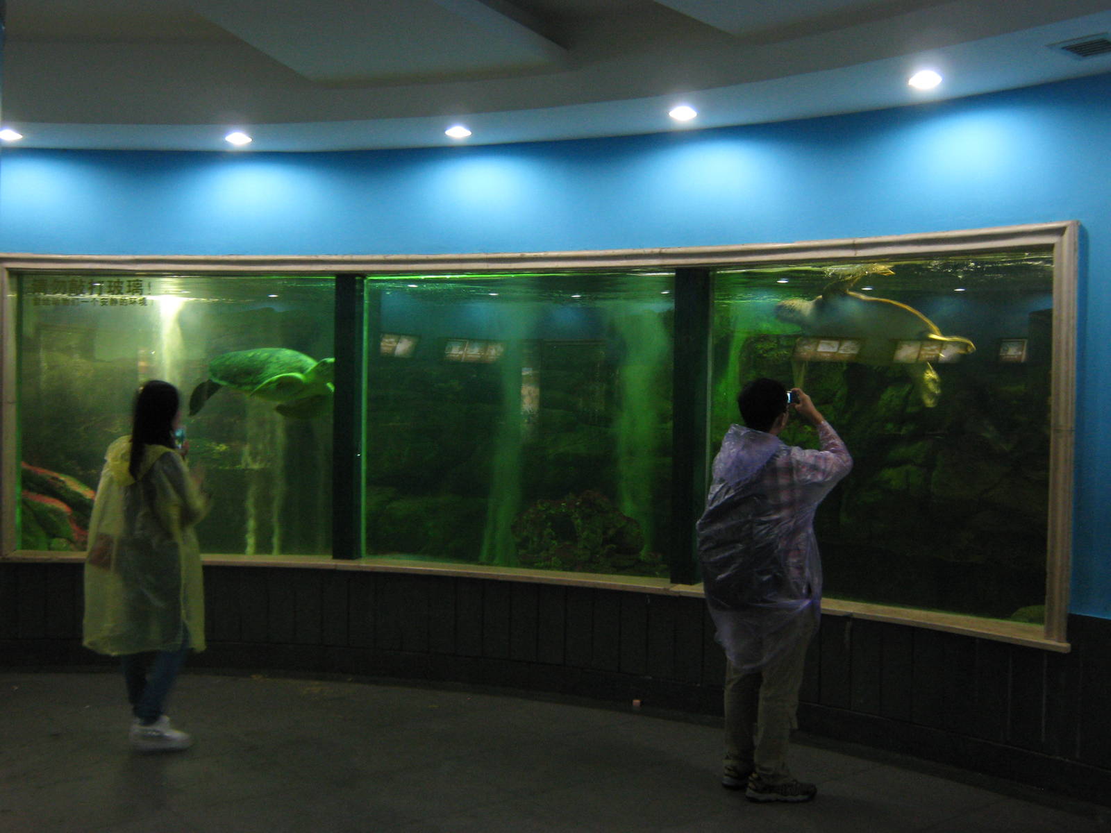Aquarium