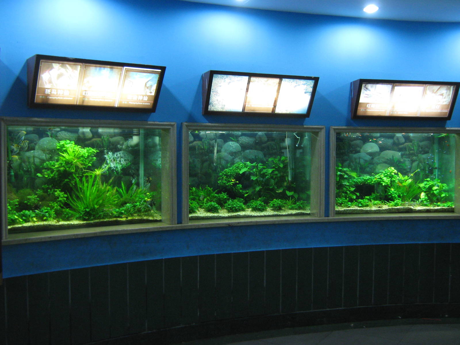 Aquarium
