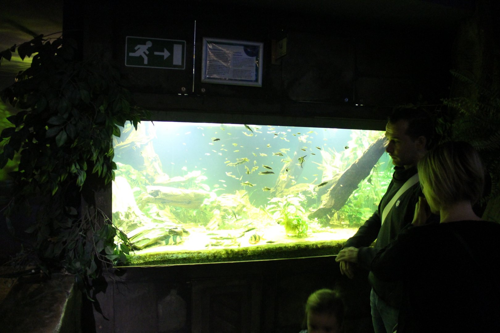Aquarium