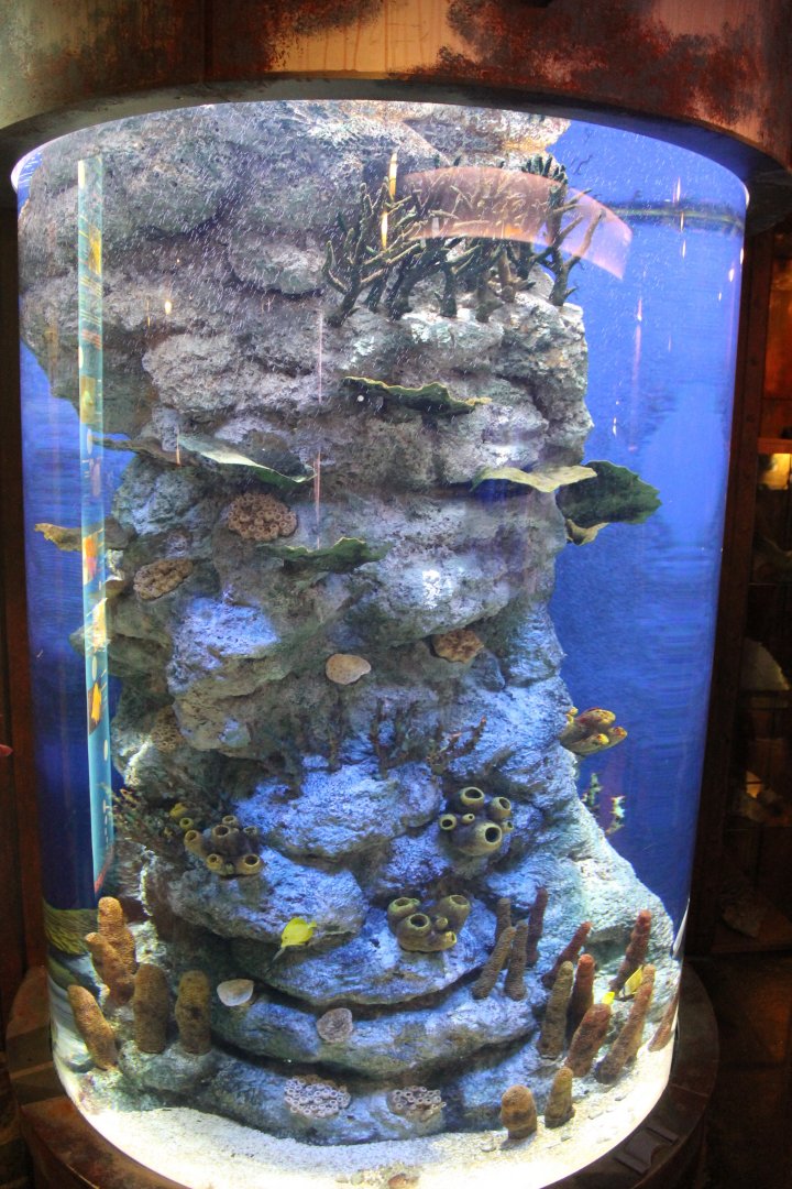 Aquarium