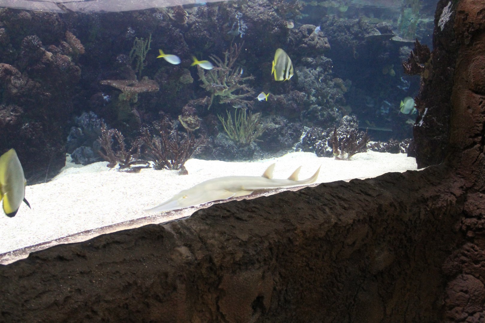 Aquarium