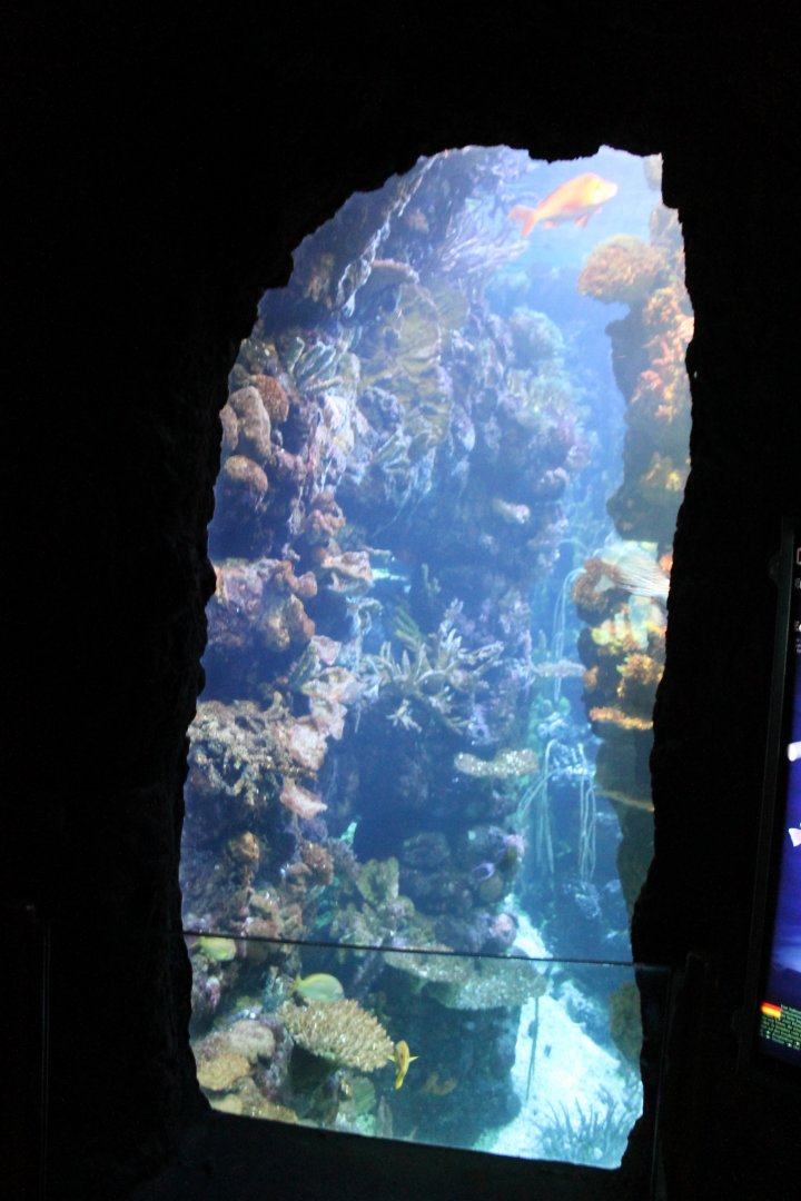Aquarium