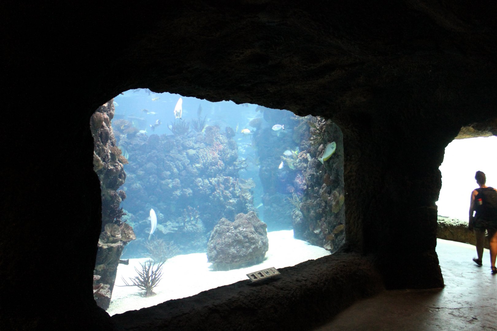 Aquarium