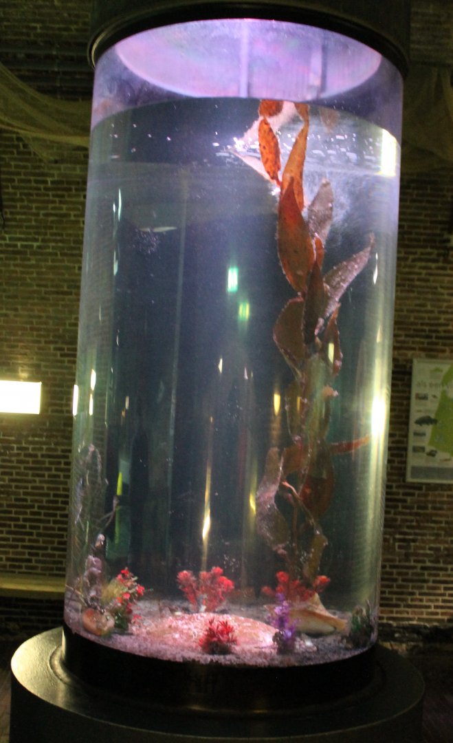 Aquarium