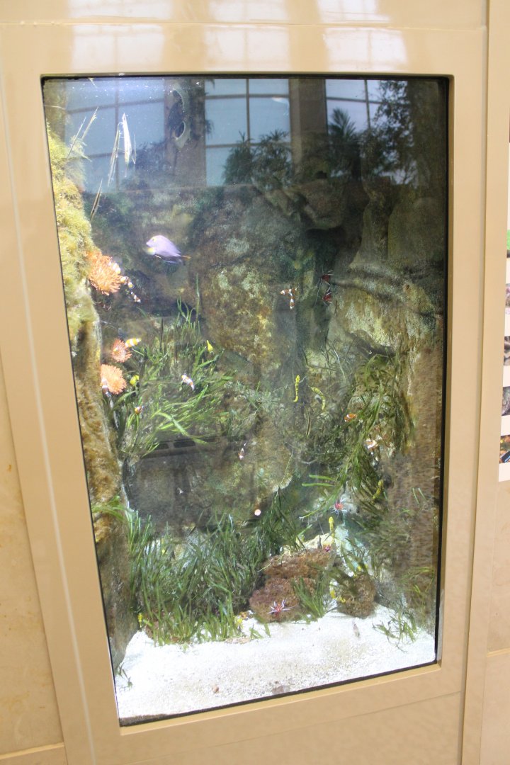 Aquarium