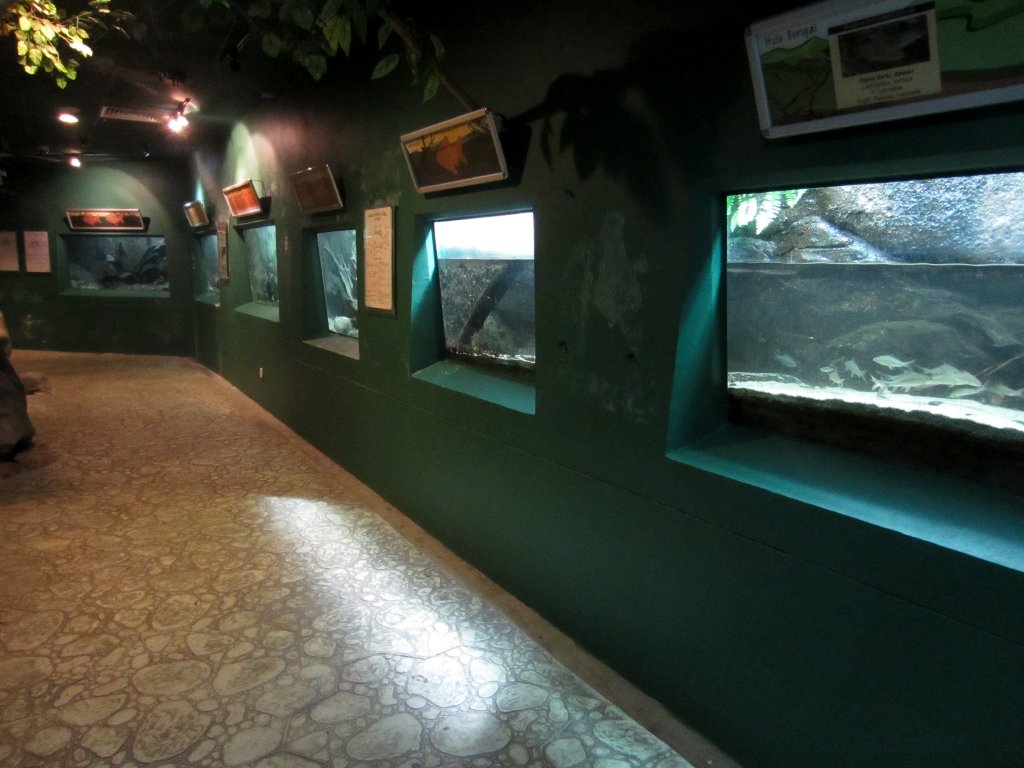 Aquarium