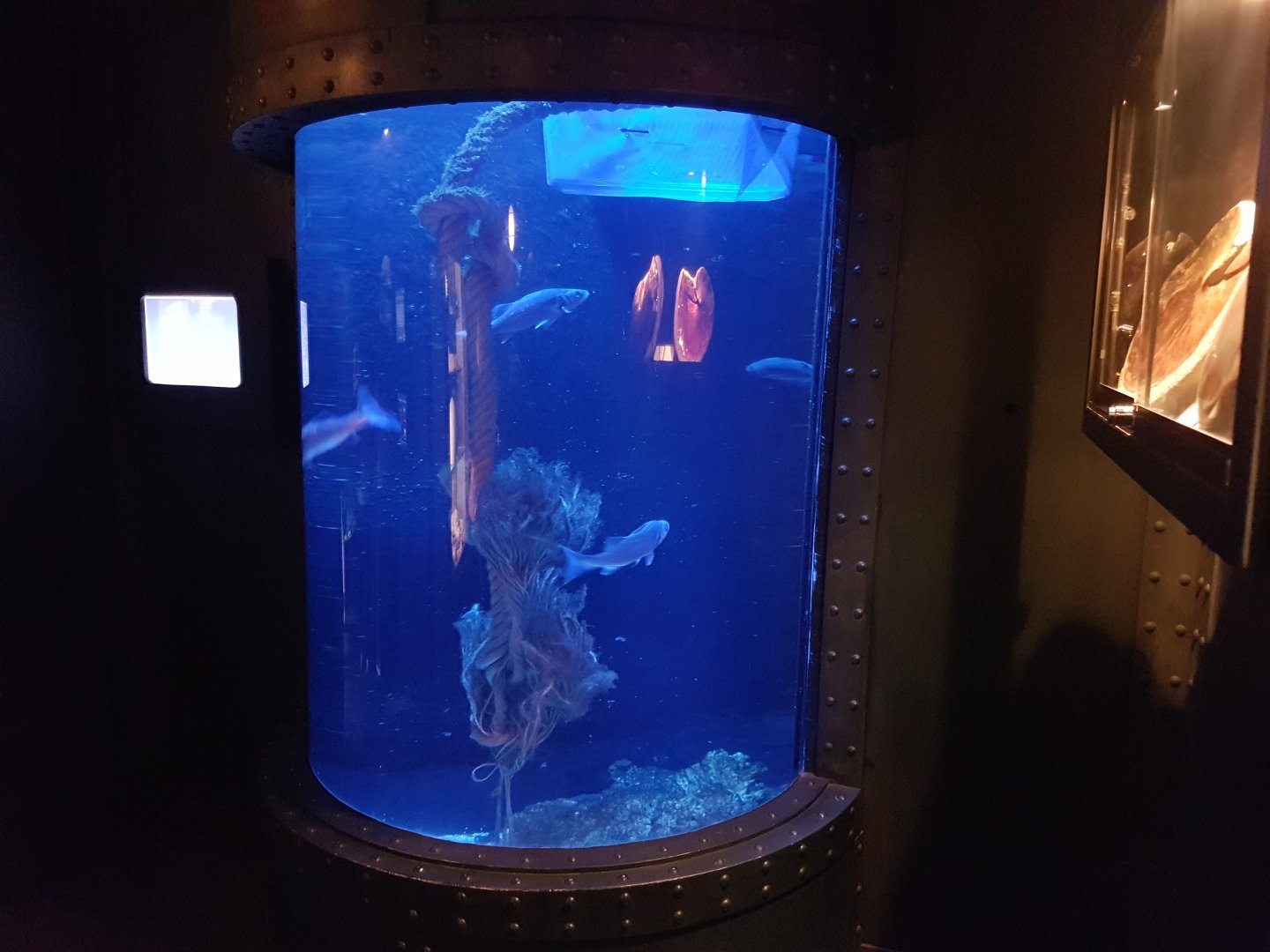 Aquarium