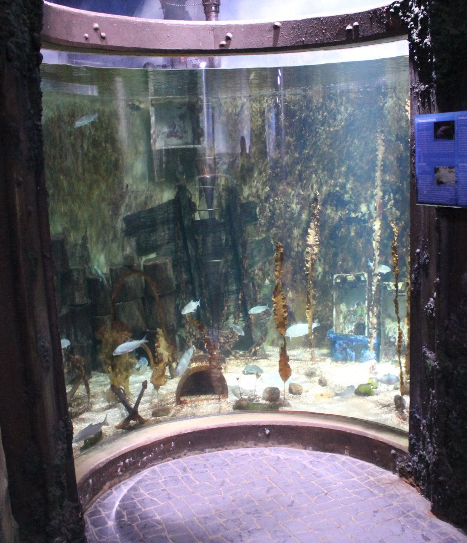 Aquarium