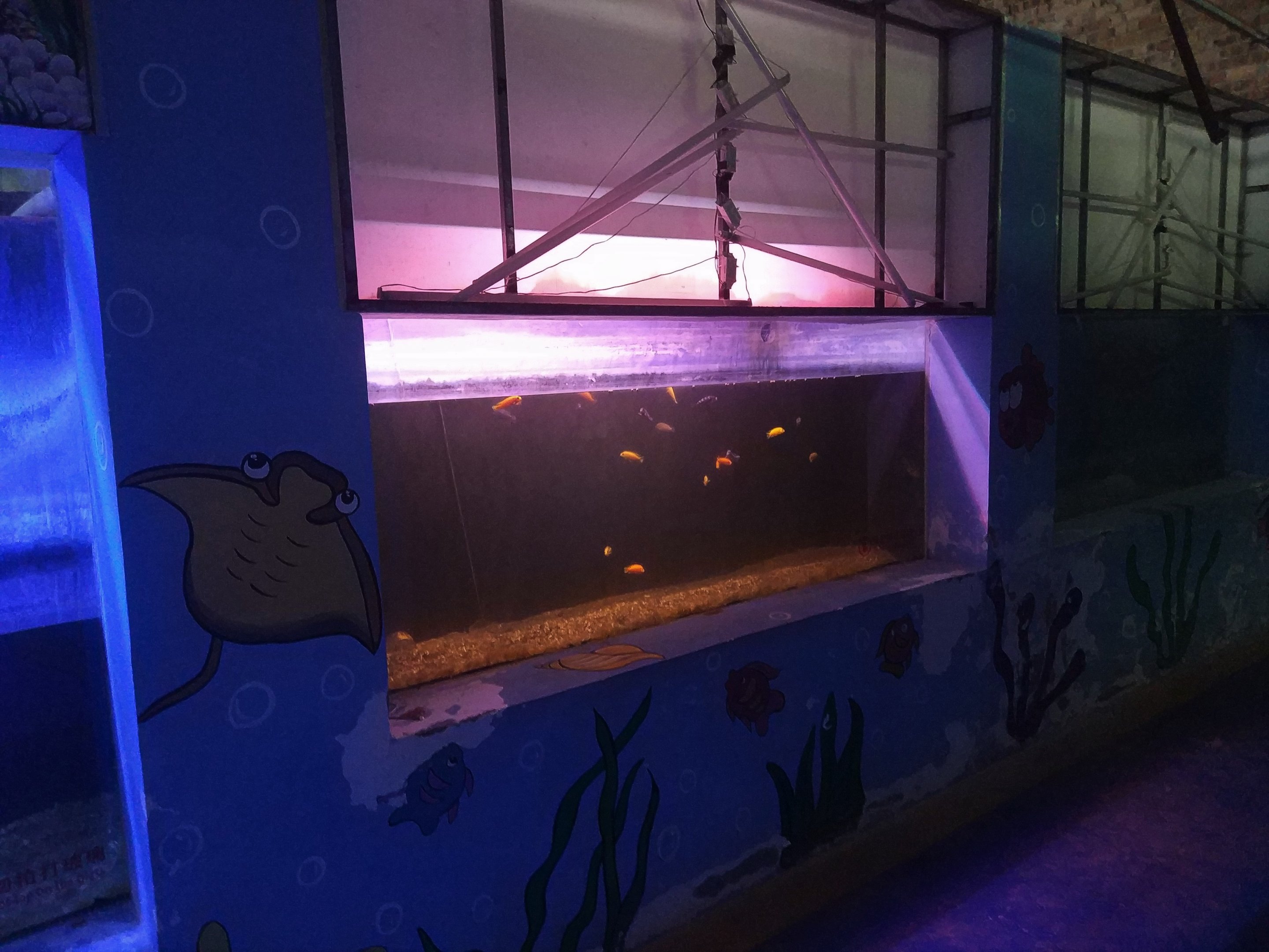 Aquarium