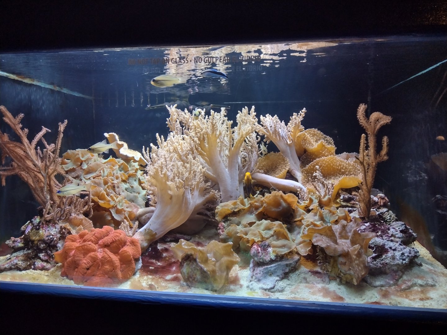 Aquarium
