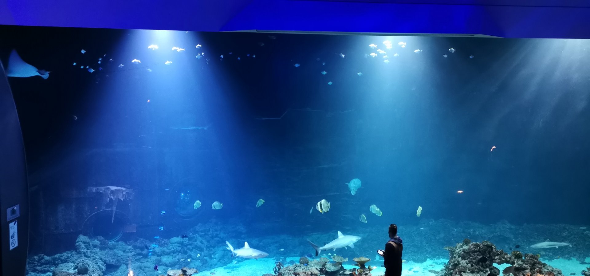 Aquarium