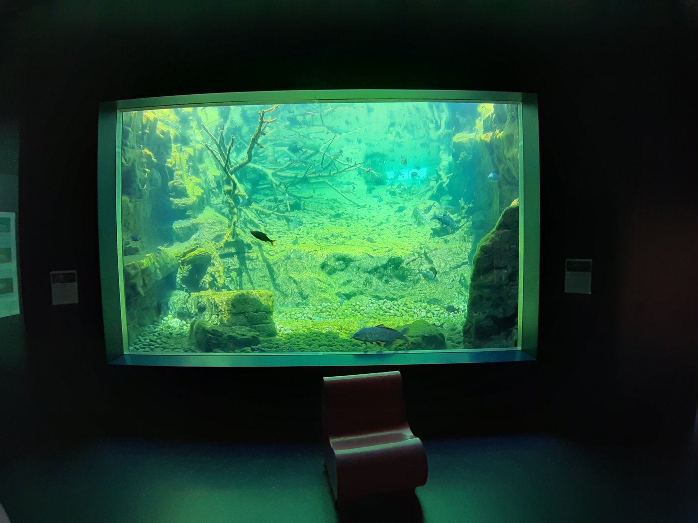 Aquarium