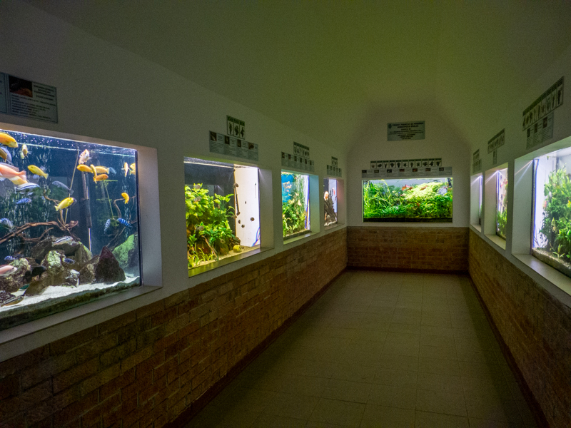 Aquarium