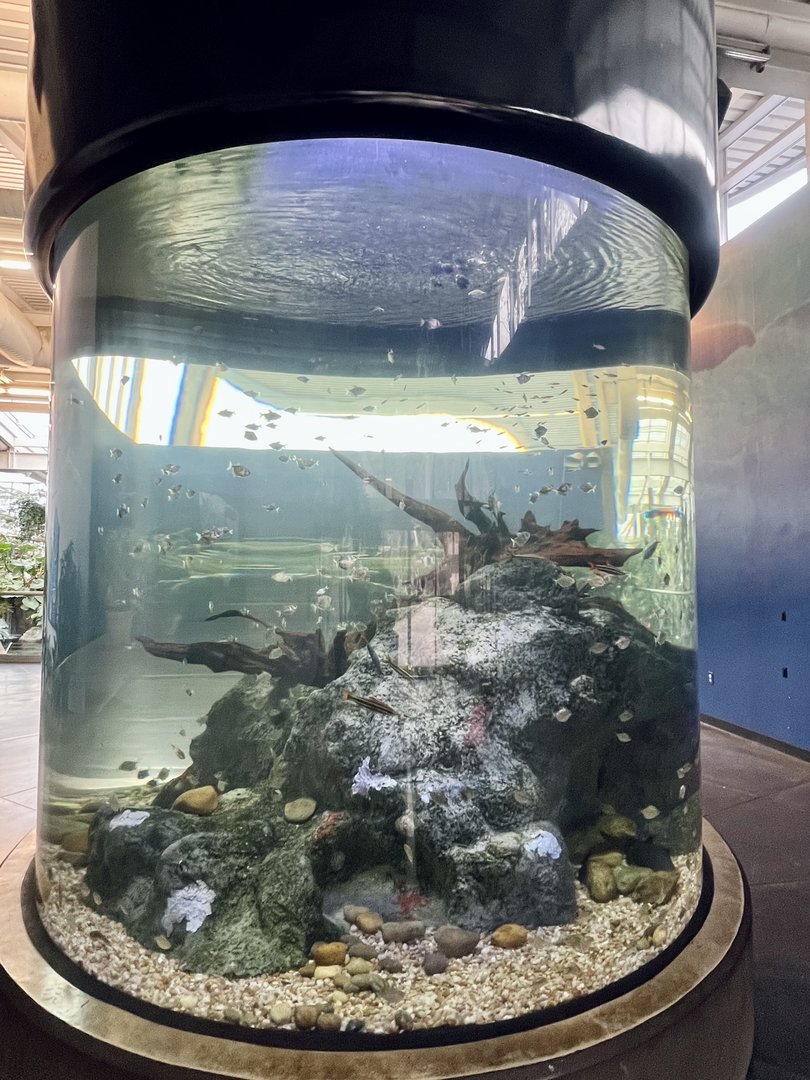 Aquarium