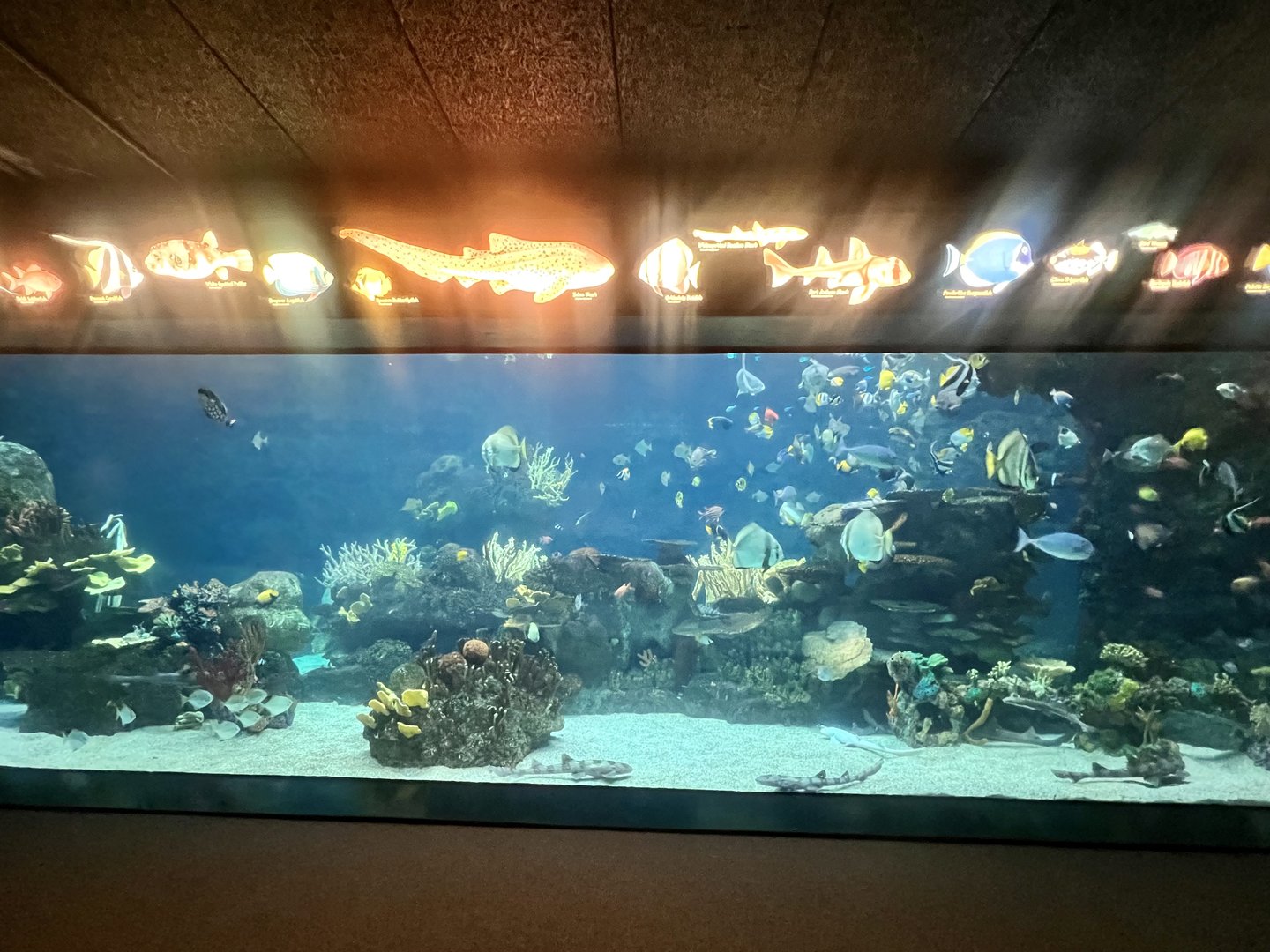 Aquarium