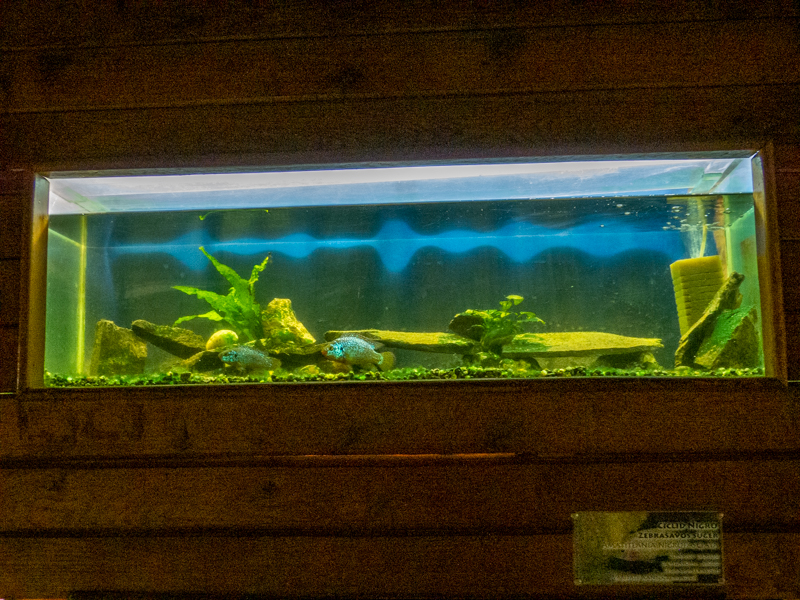aquarium