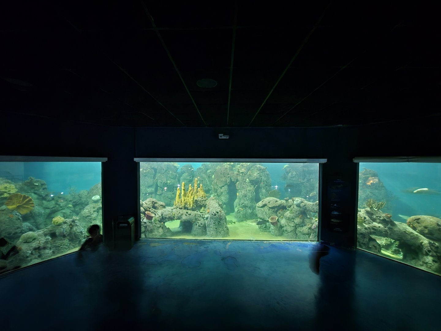 Aquarium