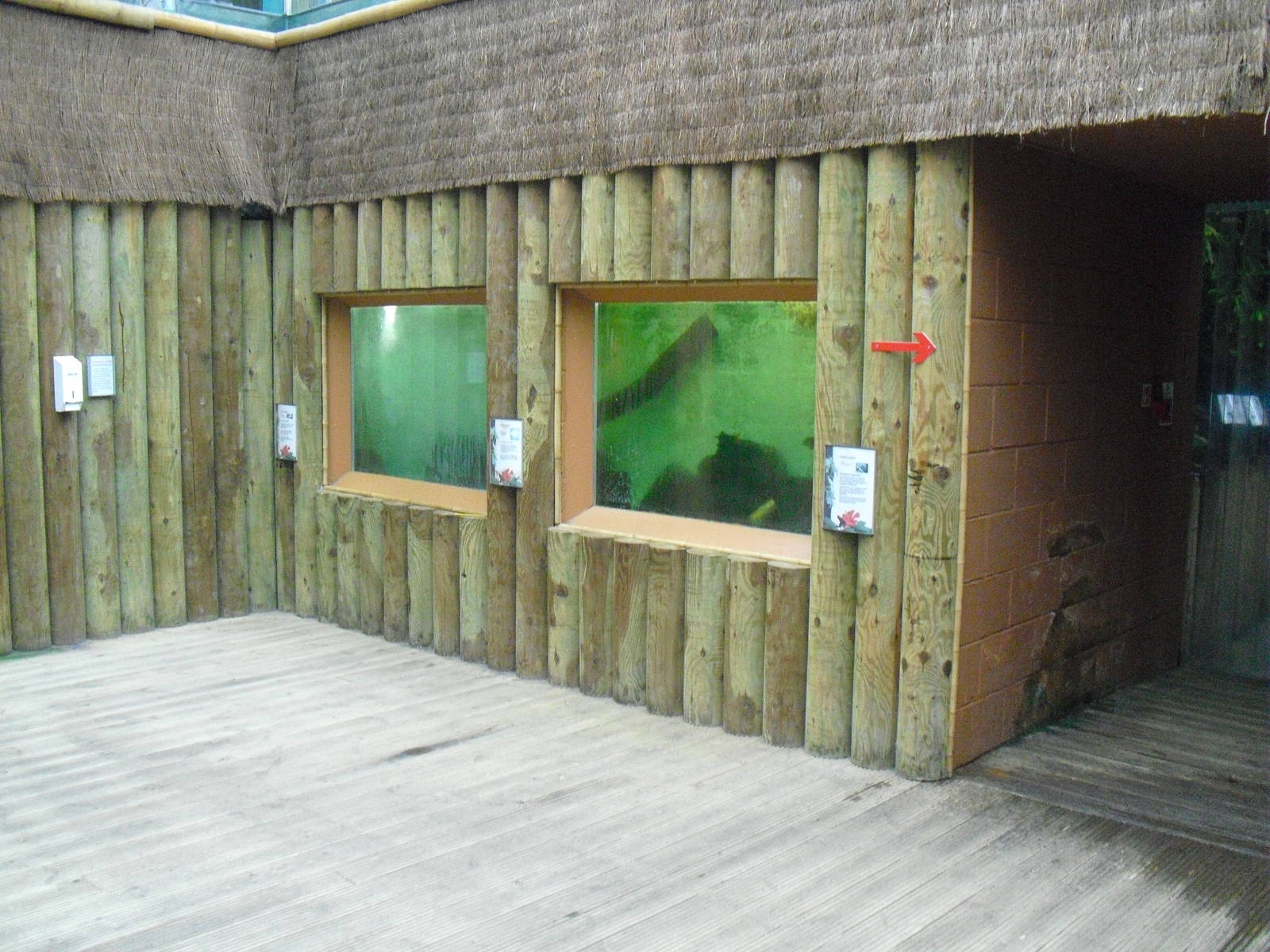 Aquariums - 12/10/2011