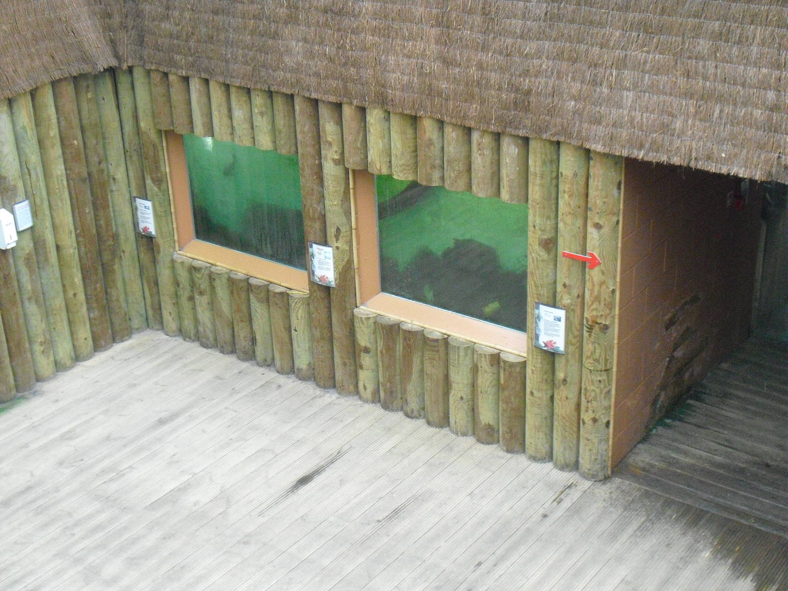 Aquariums - 12/10/2011