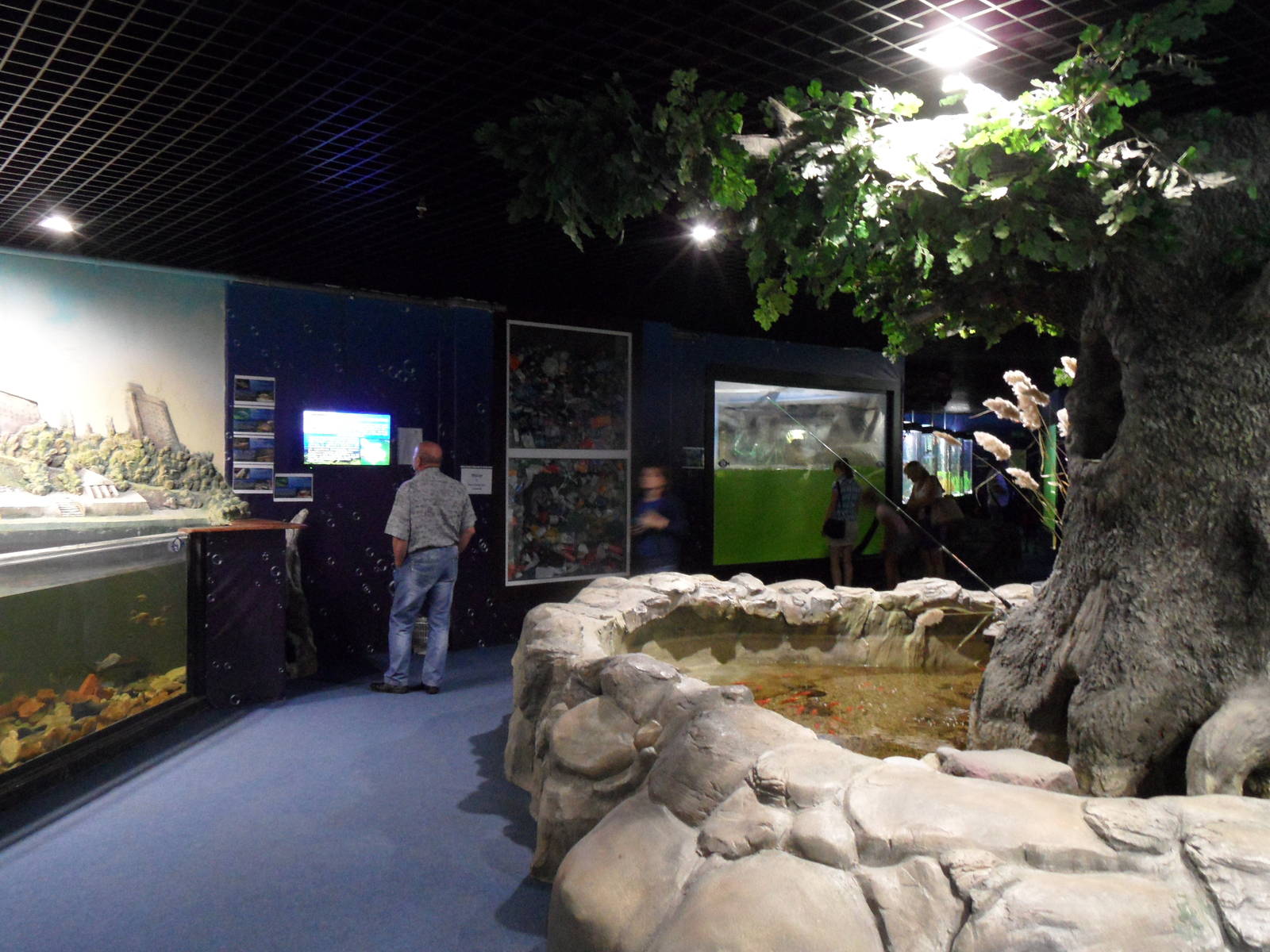 Aquariums at entrance