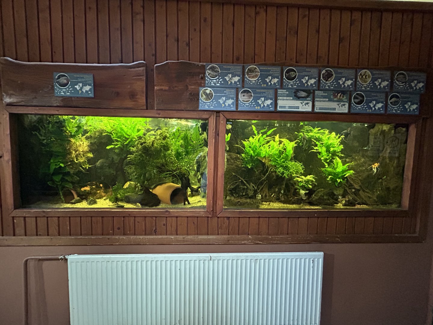 Aquariums in Exotarium