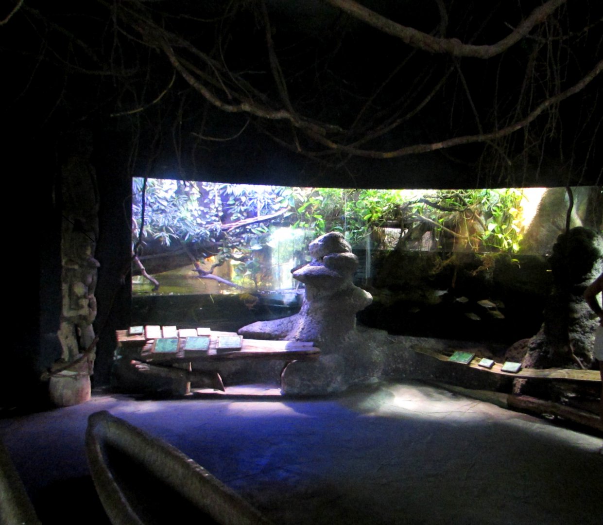 Aquariums in Indonesian Jungle Pavilion - July/2017