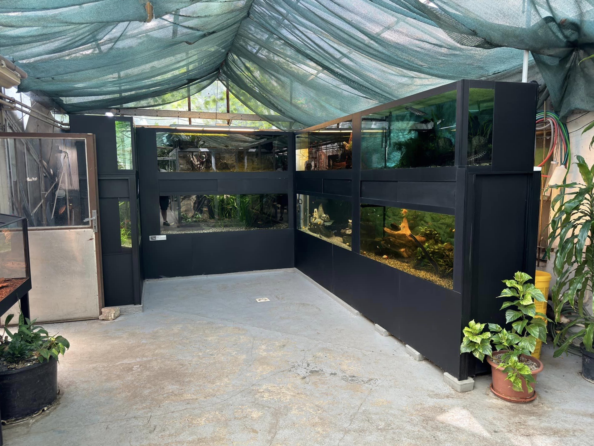 Aquariums - Stanice přírodovědců (Prague/Praha)