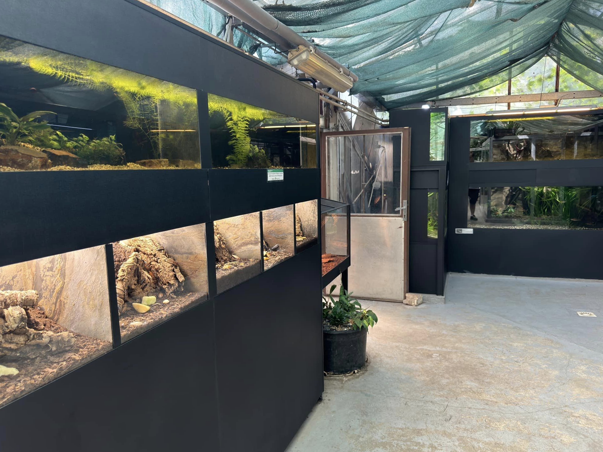 Aquariums  - Stanice přírodovědců (Prague/Praha)