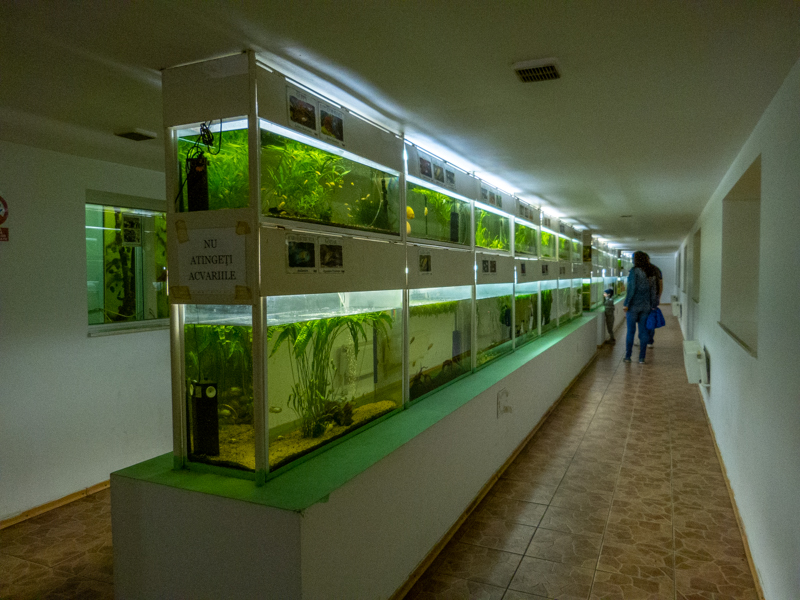 Aquariums & terrariums