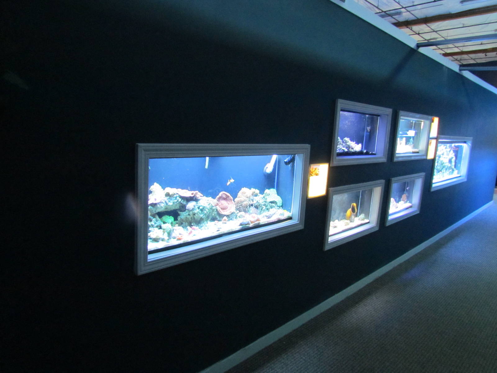 Aquariums