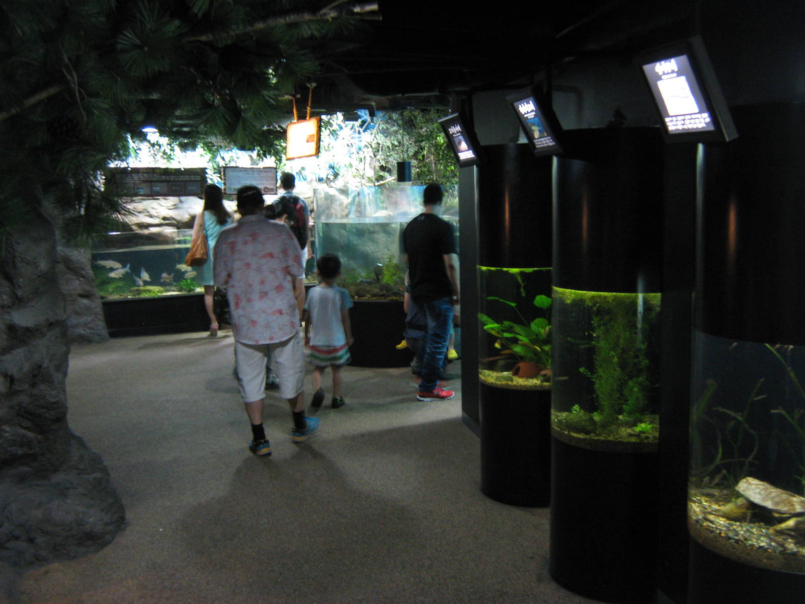aquariums
