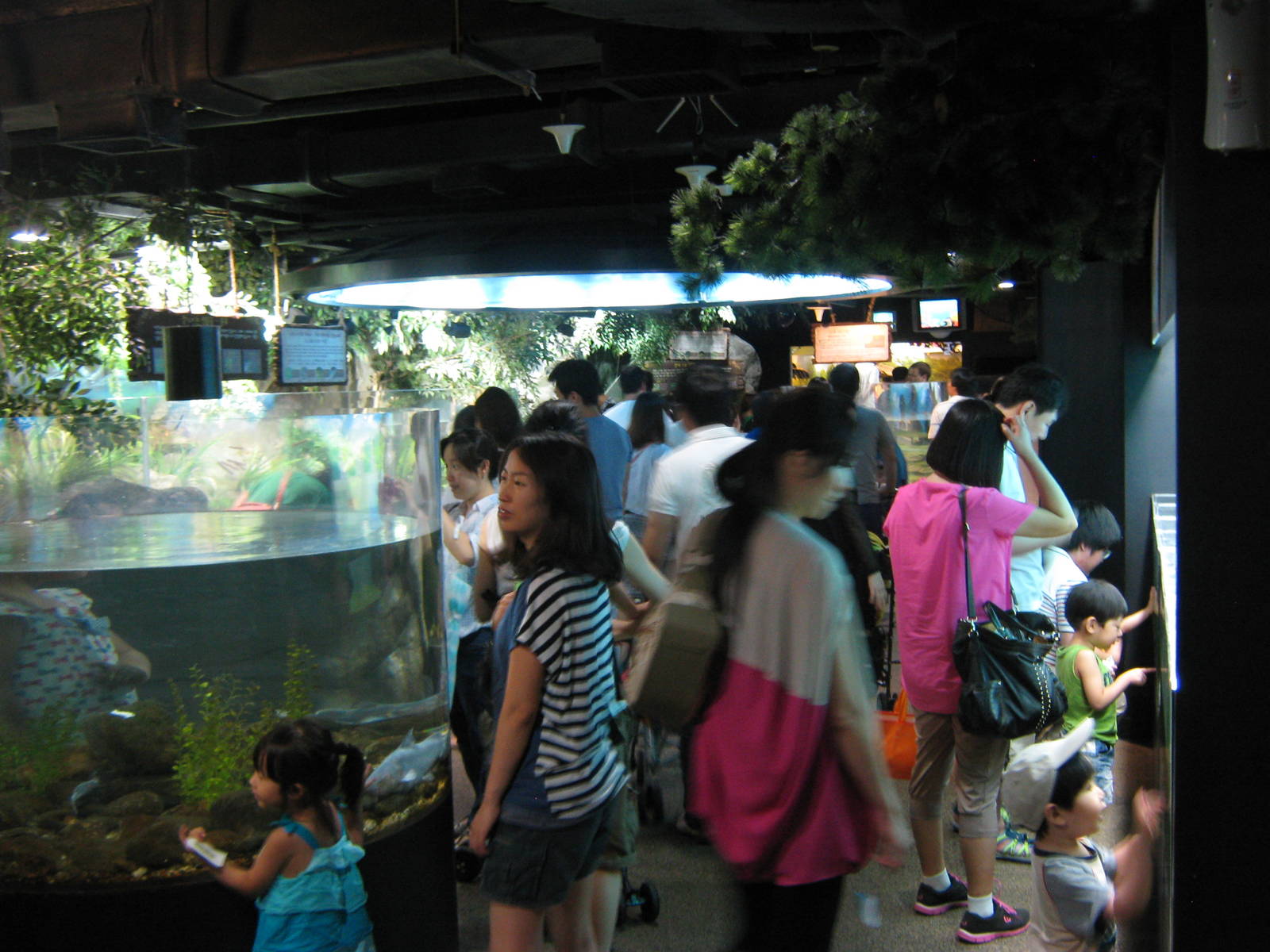 aquariums