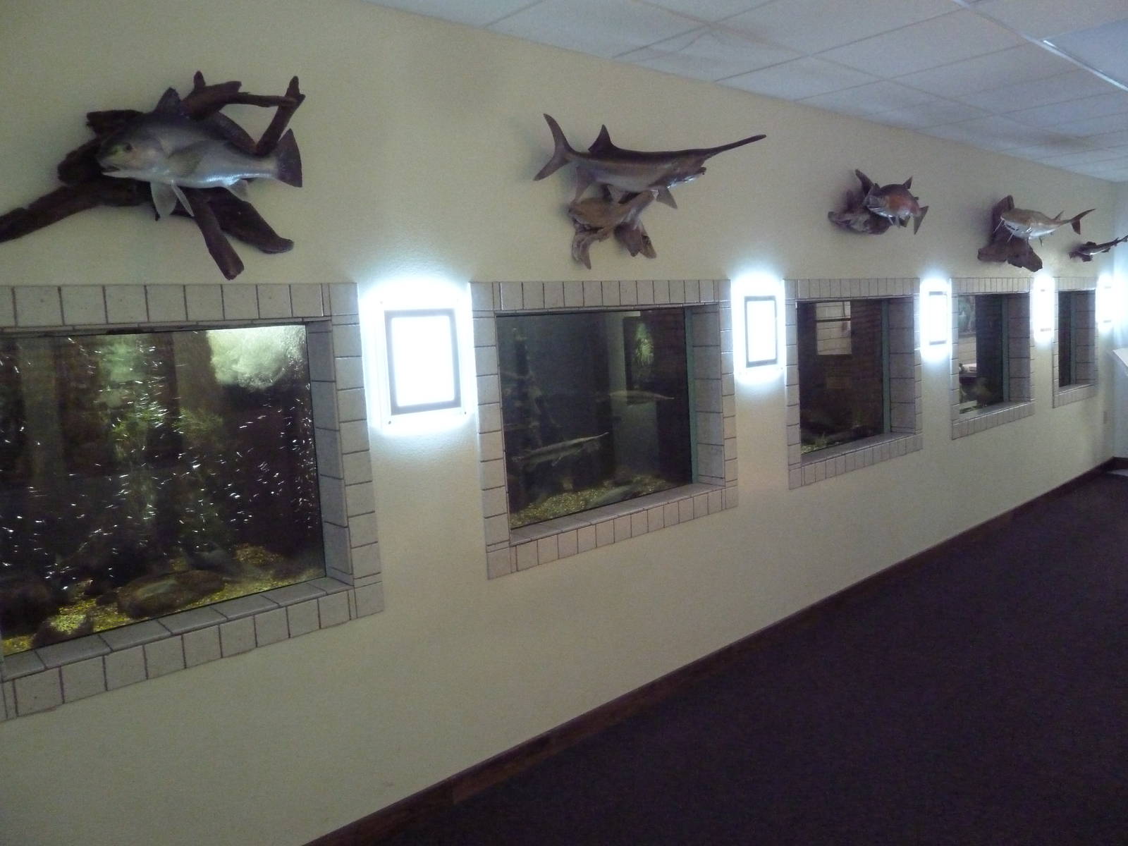 Aquariums