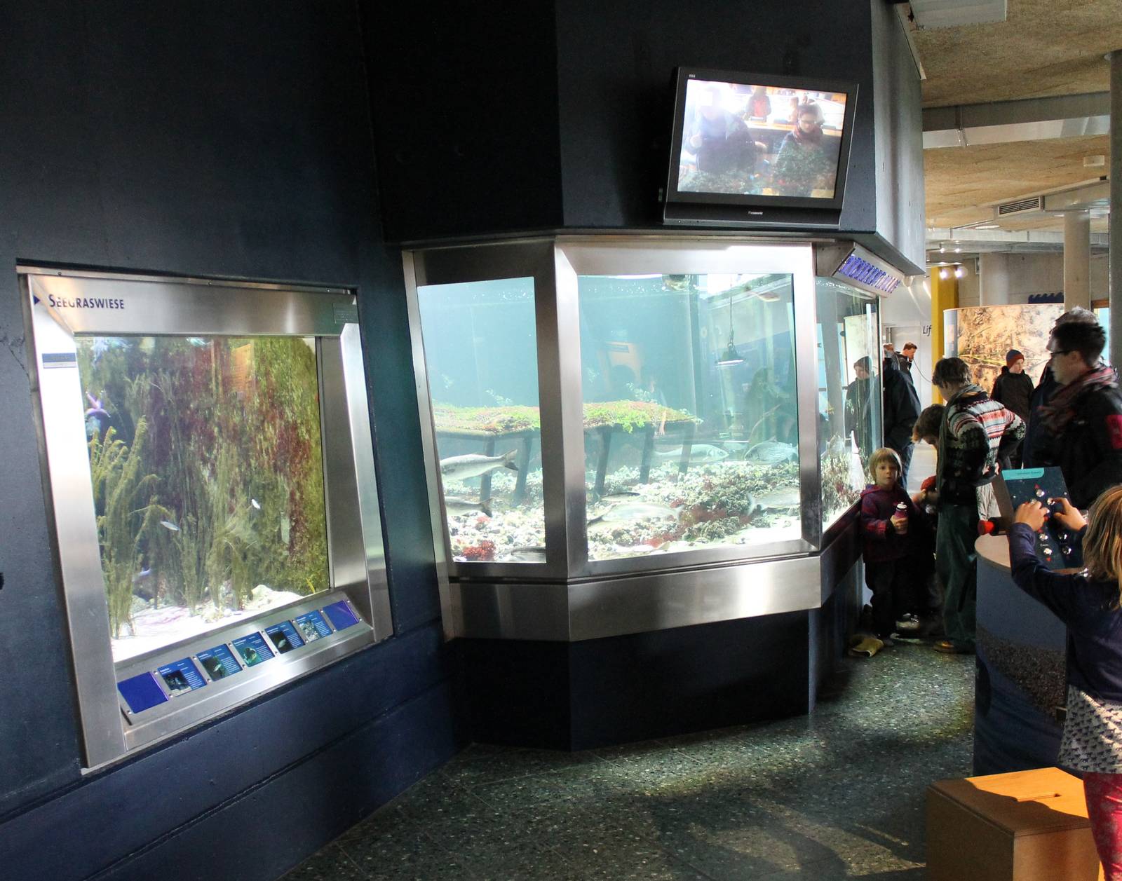 Aquariums