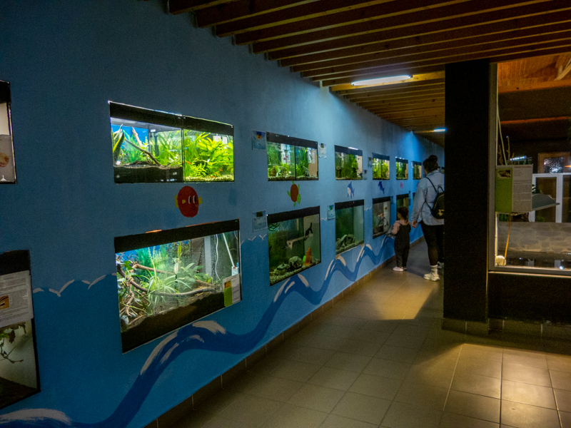 aquariums
