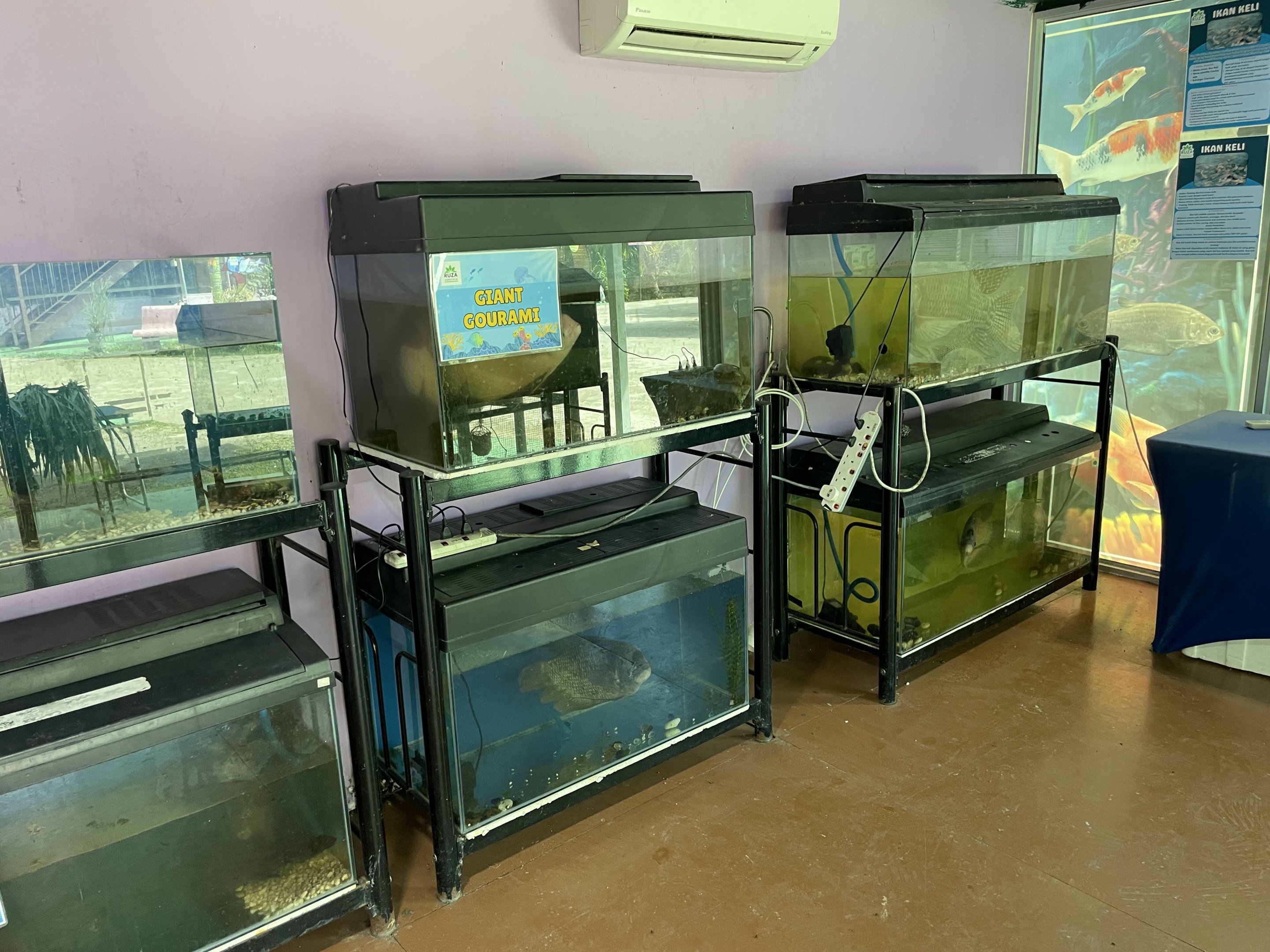 Aquariums