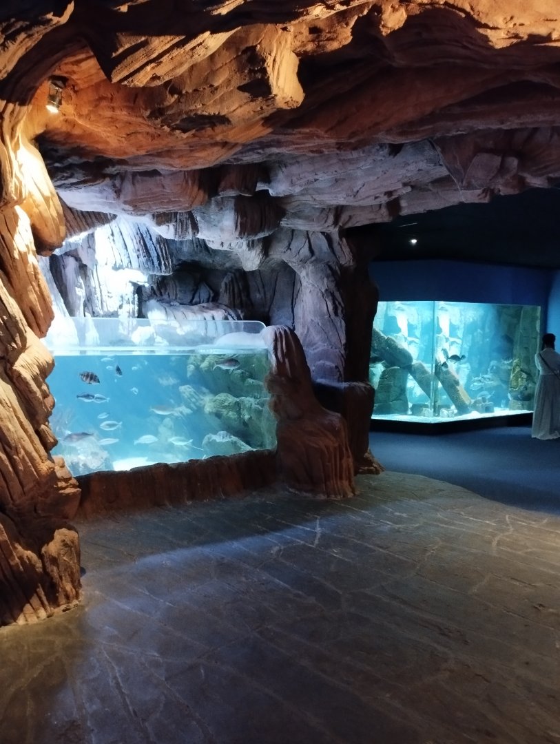 Aquariums