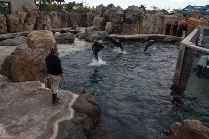 AquarOfPacific - Feb 6, 2010